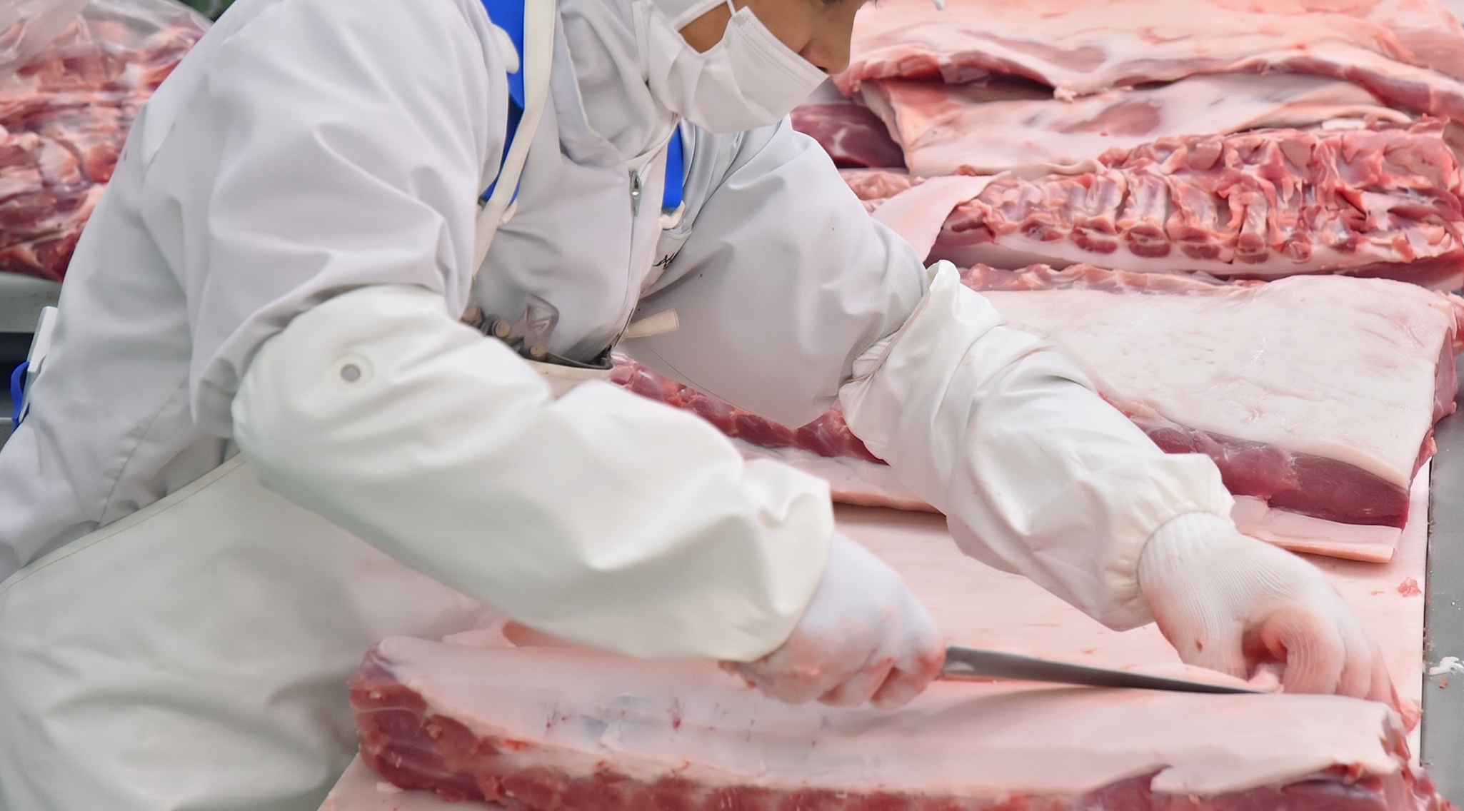 豚部分肉処理